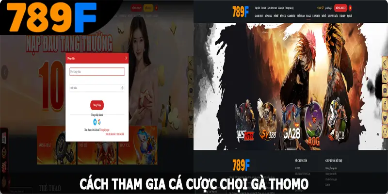 Cách tham gia cá cược chọi gà Thomo trên website 789F Cách tham gia cá cược chọi gà Thomo trên website 789F